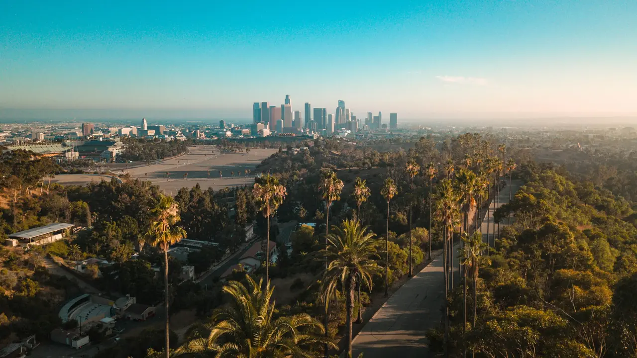 Los Angeles skyline beyond a palm-lined neighborhood at sunrise